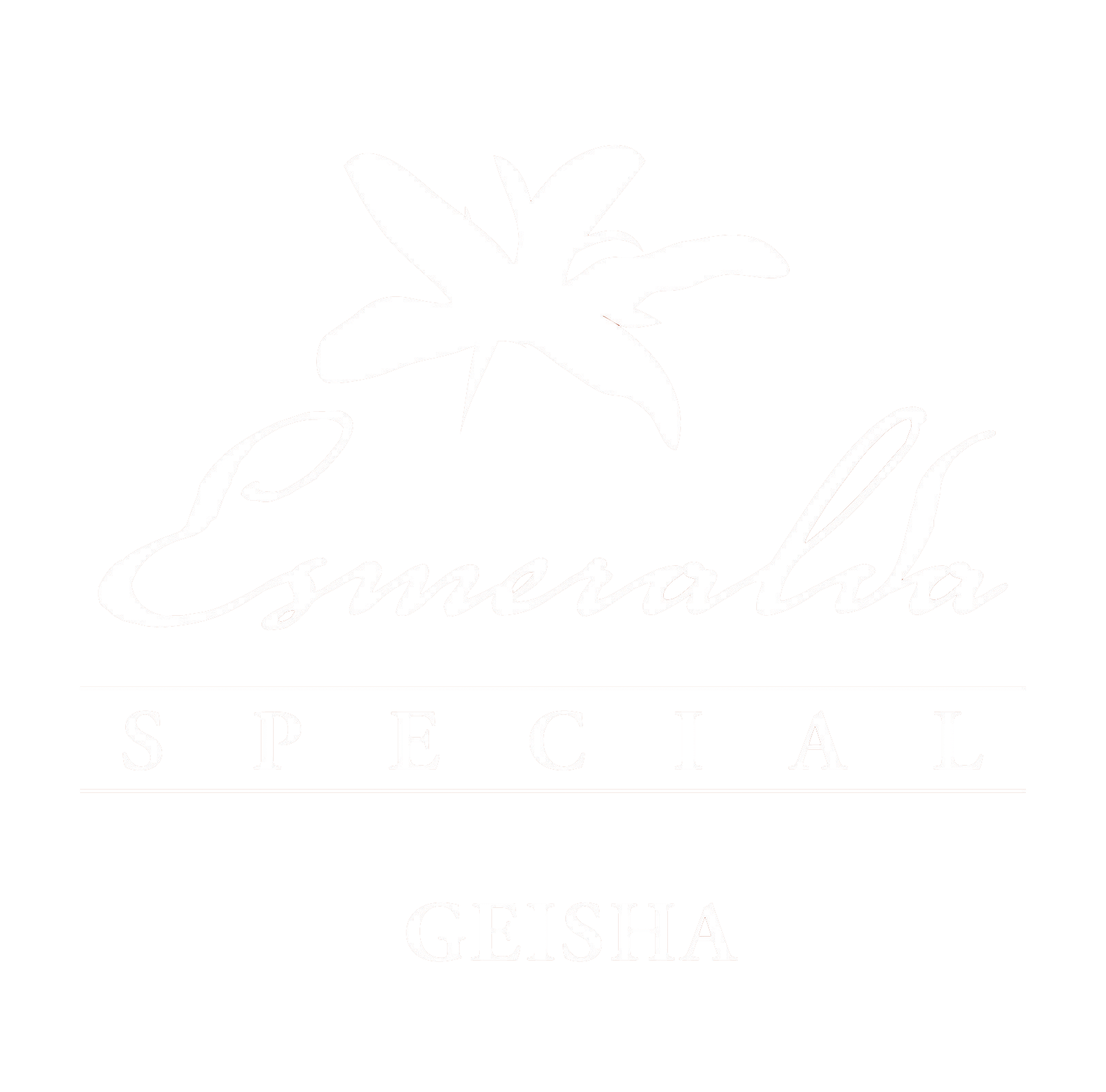 ESMERALDA-SPECIAL_-JPG